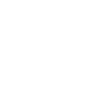 PropSales logo